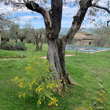 Il Casale Di Tata Willa