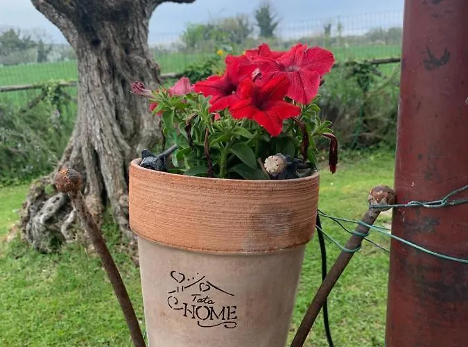 Il Casale Di Tata Avigliano Umbro